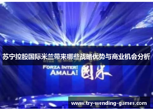 苏宁控股国际米兰带来哪些战略优势与商业机会分析 苏宁控股国际米兰带来哪些战略优势与商业机会分析