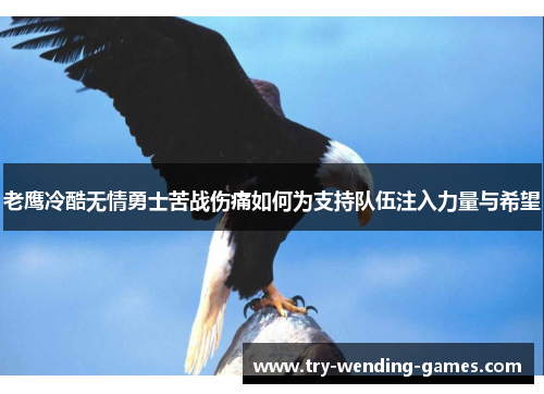 老鹰冷酷无情勇士苦战伤痛如何为支持队伍注入力量与希望 老鹰冷酷无情勇士苦战伤痛如何为支持队伍注入力量与希望